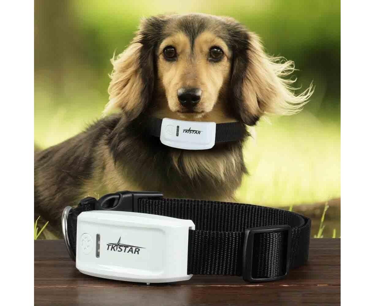 Жпс для собак. Жпс трекер для собак. Трекер Pet GPS Tracker. GPS трекер tk-909 для животных. GPS ошейник "Dog x30t".