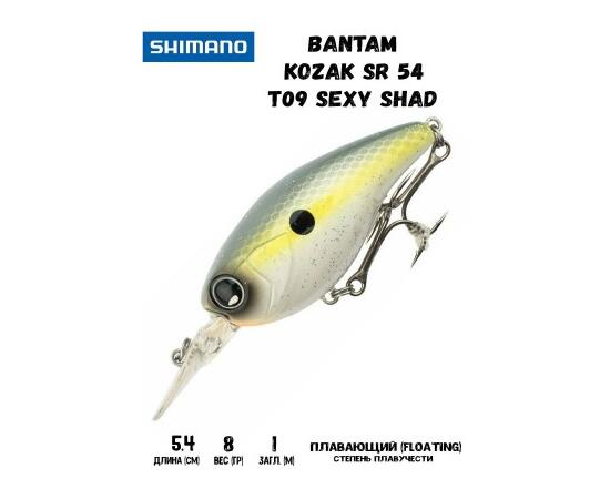 Воблер SHIMANO Bantam Kozak SR 54mm 8g T09 Sexy Shad, Цвет: T09 Sexy Shad, Вес гр: 8, Длина, мм: 54 мм, фото 